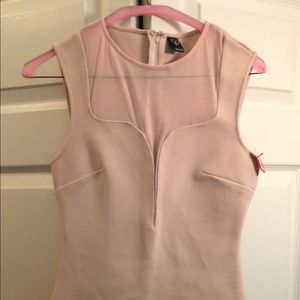 Windsor Pale Pink Body Con Dress